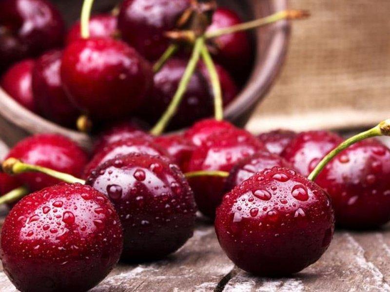 Вишня купить саженцы из питомника в Новошахтинске